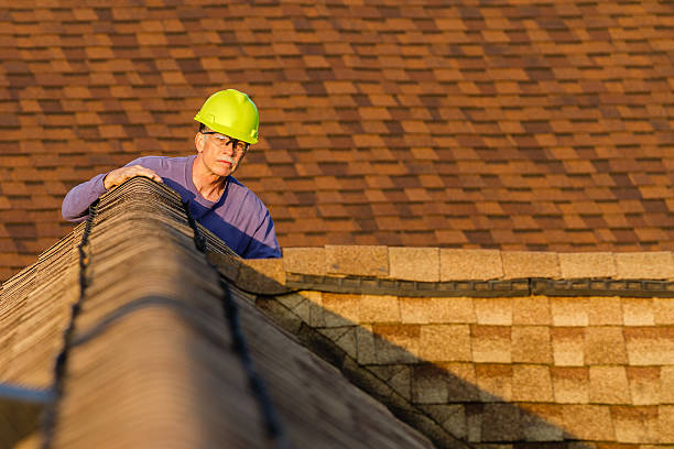 Best Storm Damage Roof Repair  in Lake Hamilton, FL